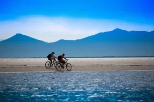 Cotar seguro de vida